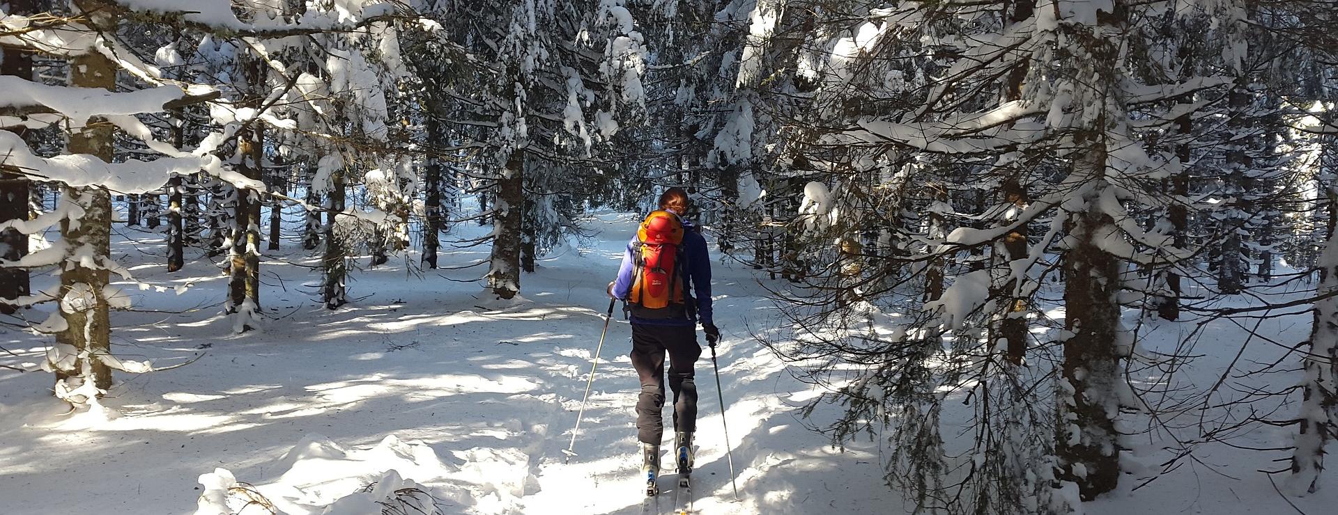 Spyder Ski Clothing Store -Spyder Ski Clothing Store backcountry skiiing 2004247 1920